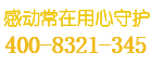 盾牌保险柜
